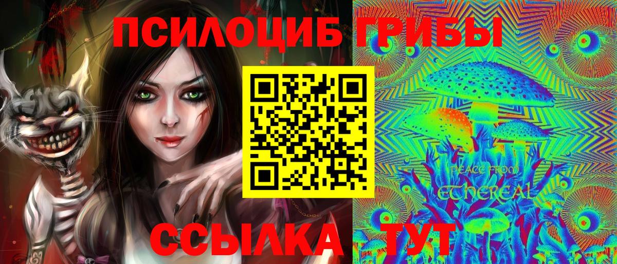Рязань  Галлюциногенные грибы мицелий  Вход с VPN 